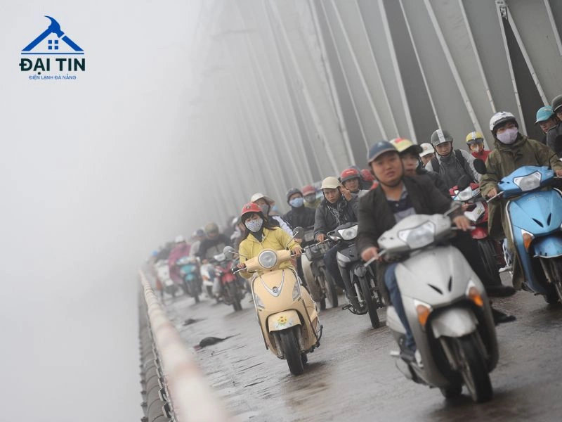 Trời nồm ẩm, mưa kéo dài là thời điểm vô cùng phù hợp