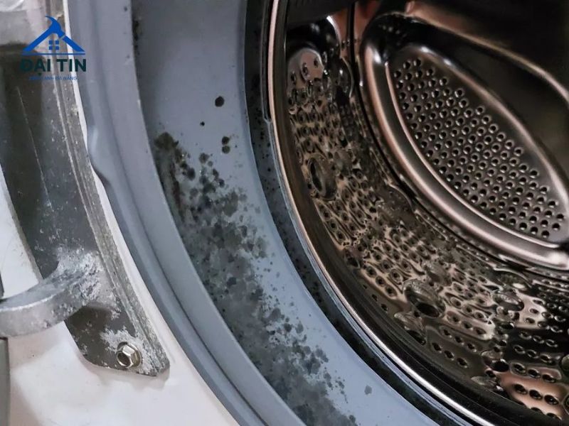 Vệ sinh thường xuyên giúp loại bỏ những tác nhân gây hại